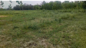  Agricultural Land for Sale in Fatehganj Pashchimi, Bareilly