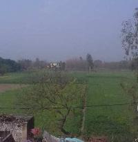  Agricultural Land for Sale in Badaun Road, Bareilly