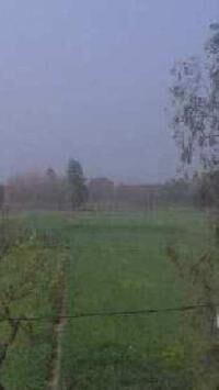  Agricultural Land for Sale in Milak, Rampur