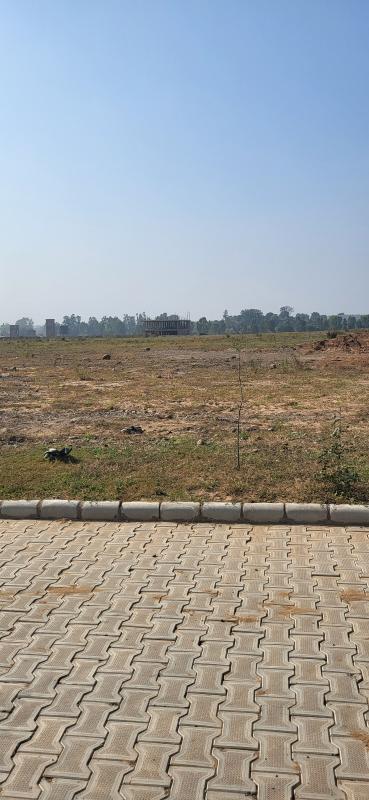  Industrial Land 500 Sq. Yards for Sale in Barwala, Panchkula