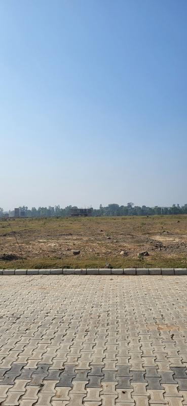  Industrial Land 500 Sq. Yards for Sale in Barwala, Panchkula