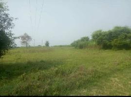  Agricultural Land for Sale in Ghatampur, Kanpur