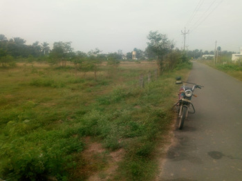  Agricultural Land for Sale in Kunnathur, Tirupur