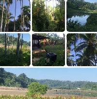  Agricultural Land for Sale in Wandoor, Port Blair