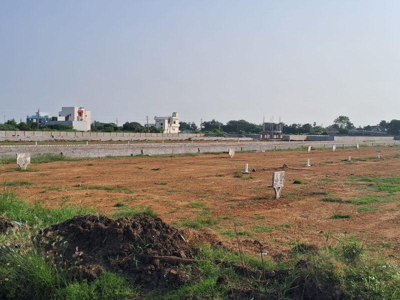  Residential Plot 212 Sq. Yards for Sale in Gannavaram, Vijayawada