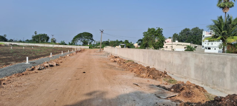  Residential Plot 212 Sq. Yards for Sale in Gannavaram, Vijayawada