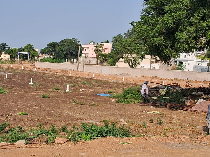  Residential Plot 212 Sq. Yards for Sale in Gannavaram, Vijayawada