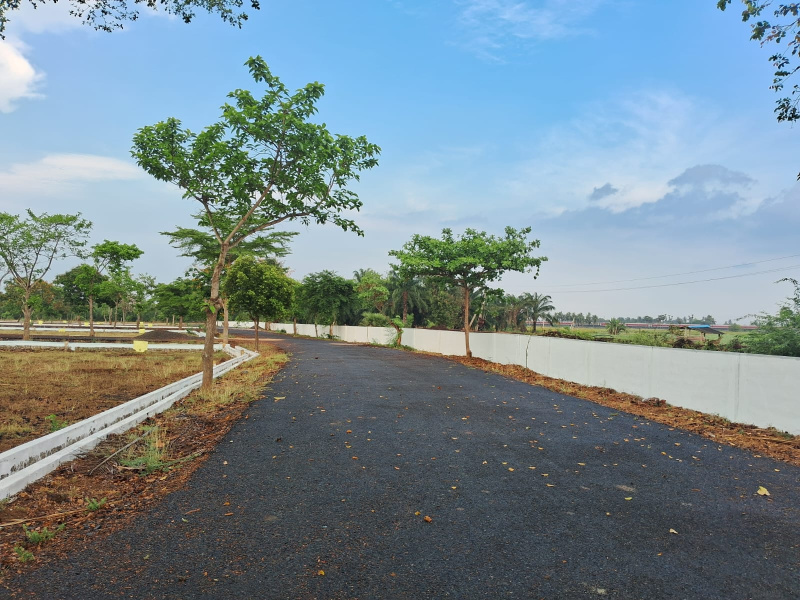  Residential Plot 180 Sq. Yards for Sale in Gannavaram, Vijayawada