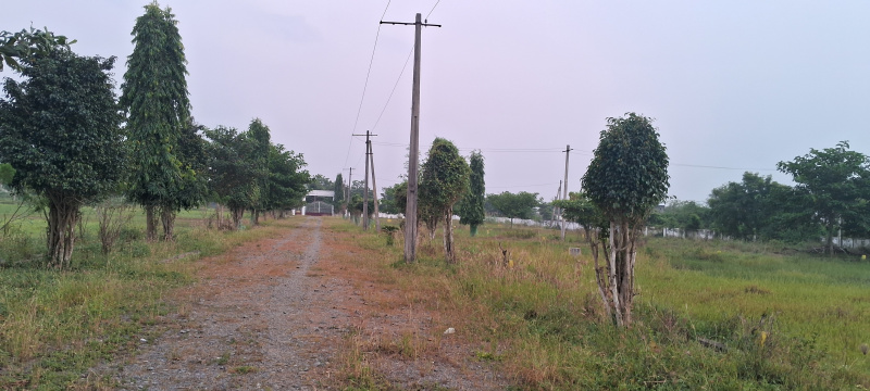  190 Sq. Yards Residential Plot for Sale in Gannavaram, Vijayawada