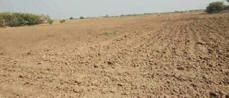  Agricultural Land for Sale in Harima, Nagaur, Nagaur