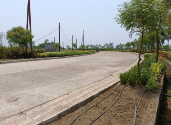  Residential Plot for Sale in Saddu, Raipur