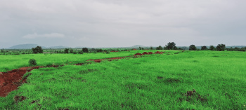  Agricultural Land for Sale in Shahapur, Thane