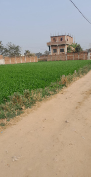  Residential Plot for Sale in Anisabad, Patna