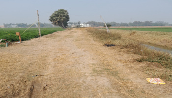  Residential Plot for Sale in Anisabad, Patna