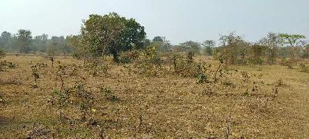 Agricultural Land for Sale in Bhuban, Dhenkanal