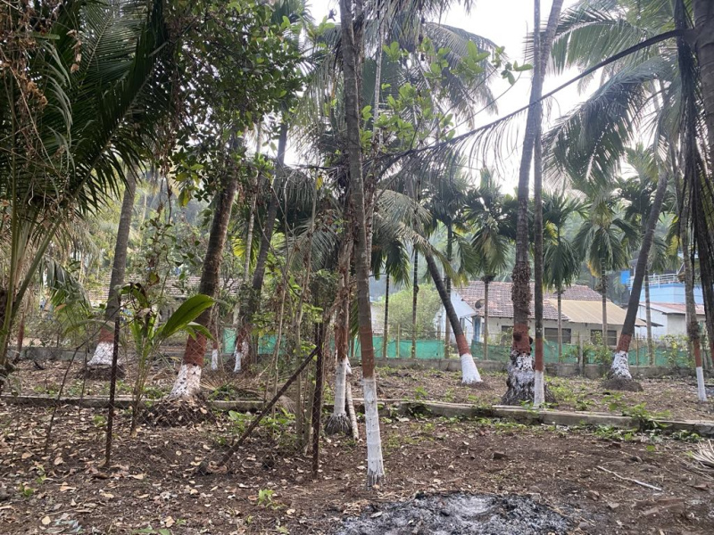  Residential Plot 10000 Sq.ft. for Sale in Alibag, Raigad