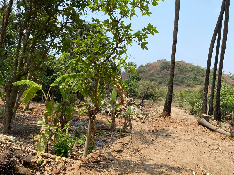  Residential Plot 9000 Sq.ft. for Sale in Alibag, Raigad