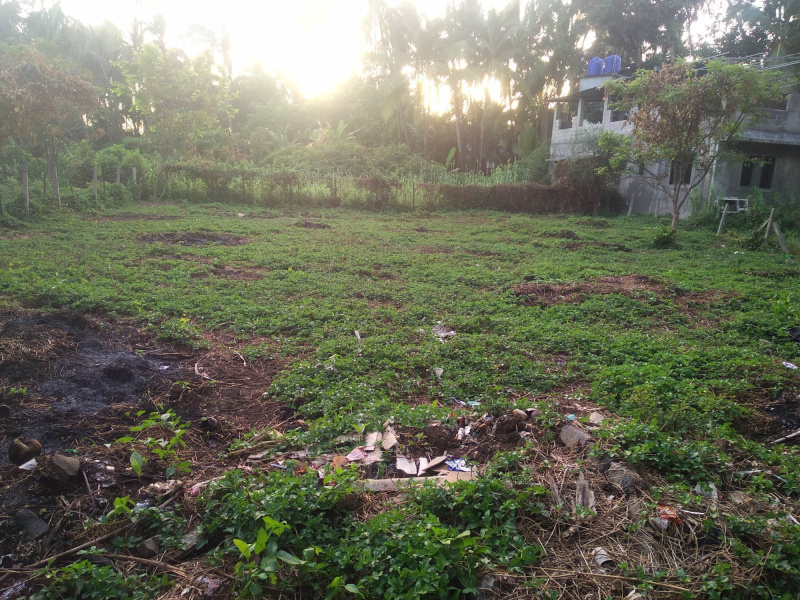  Residential Plot 5430 Sq.ft. for Sale in Nagaon, Alibag, Raigad