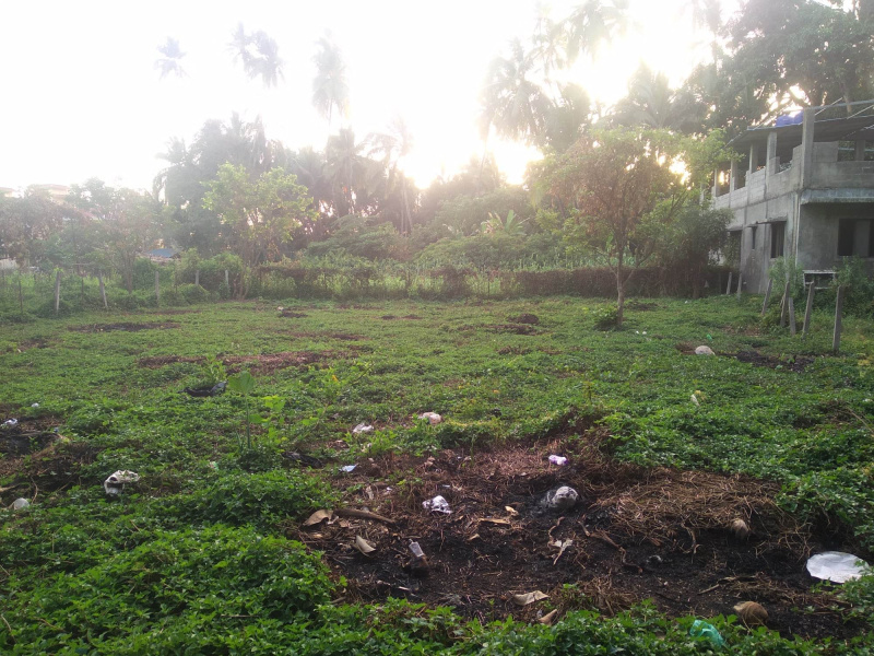  Residential Plot 5430 Sq.ft. for Sale in Nagaon, Alibag, Raigad