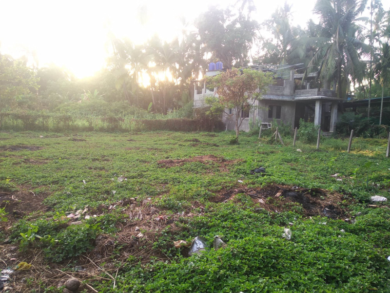  Residential Plot 5430 Sq.ft. for Sale in Alibag, Raigad