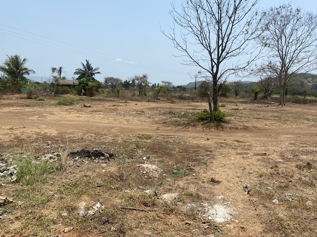  Residential Plot 2800 Sq.ft. for Sale in Alibag, Raigad