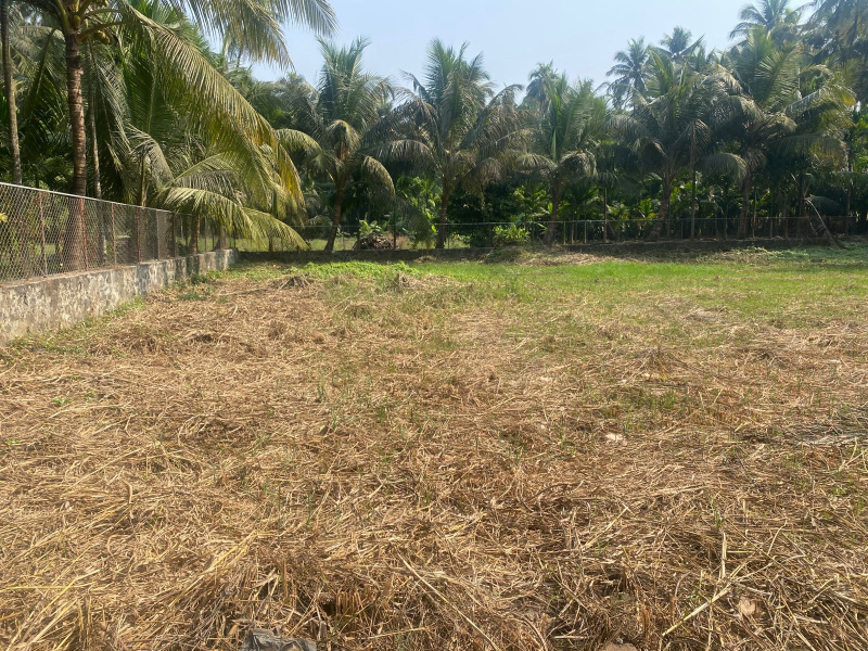  Residential Plot 25000 Sq.ft. for Sale in Chaul, Alibag, Raigad