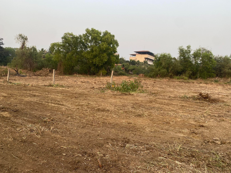  Residential Plot 6000 Sq.ft. for Sale in Nagaon, Alibag, Raigad