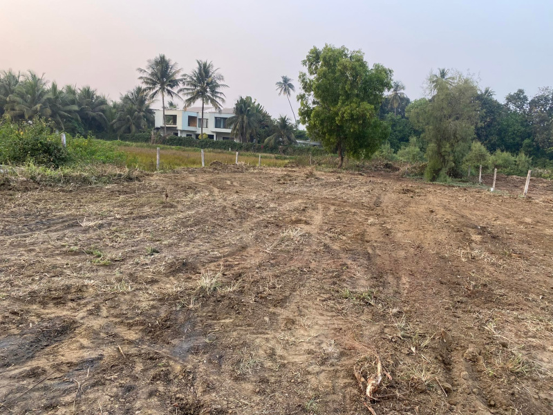  Residential Plot 6000 Sq.ft. for Sale in Nagaon, Alibag, Raigad