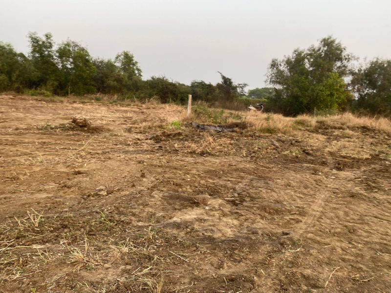  Residential Plot 6000 Sq.ft. for Sale in Nagaon, Alibag, Raigad