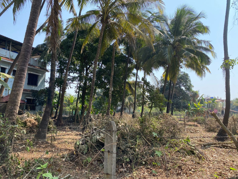  Residential Plot 5250 Sq.ft. for Sale in Nagaon, Alibag, Raigad