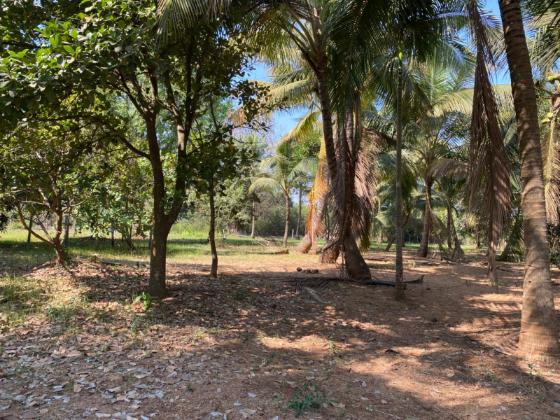  Residential Plot 10000 Sq.ft. for Sale in Nagaon, Alibag, Raigad