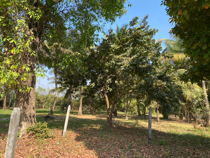  Residential Plot 24000 Sq.ft. for Sale in Nagaon, Alibag, Raigad