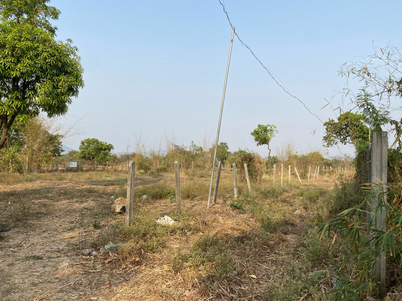 Residential Plot 10000 Sq.ft. for Sale in Alibag, Raigad