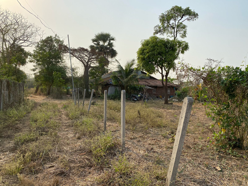  Residential Plot 10000 Sq.ft. for Sale in Alibag, Raigad