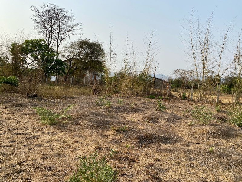  Residential Plot 10000 Sq.ft. for Sale in Alibag, Raigad