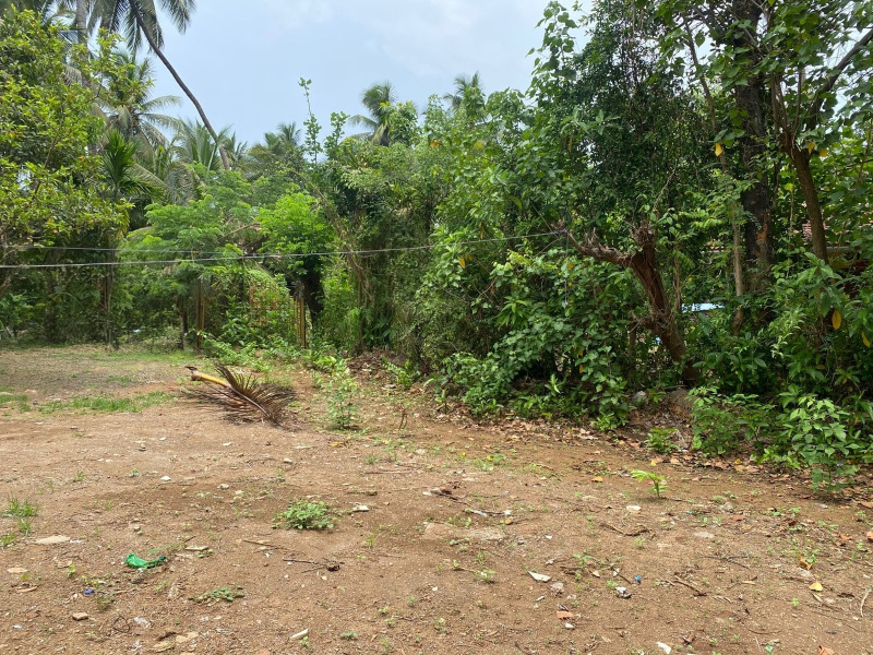  Residential Plot 8500 Sq.ft. for Sale in Alibag, Raigad