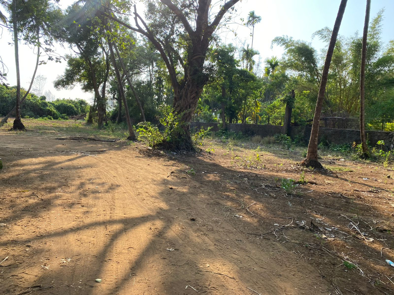  Residential Plot 40000 Sq.ft. for Sale in Alibag, Raigad