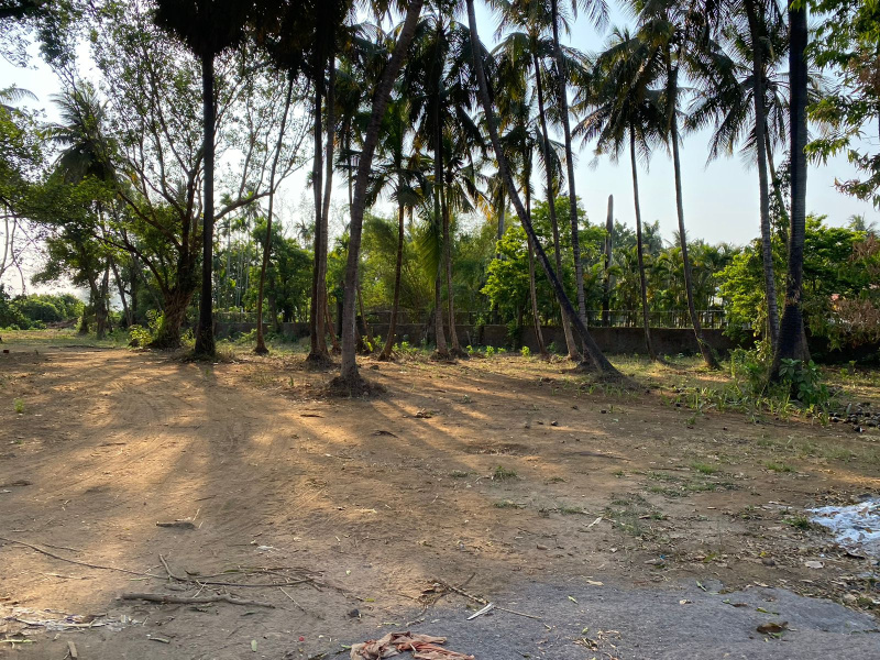  40000 Sq.ft. Residential Plot for Sale in Alibag, Raigad