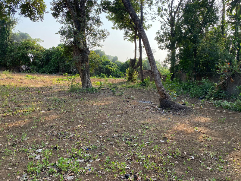  40000 Sq.ft. Residential Plot for Sale in Alibag, Raigad