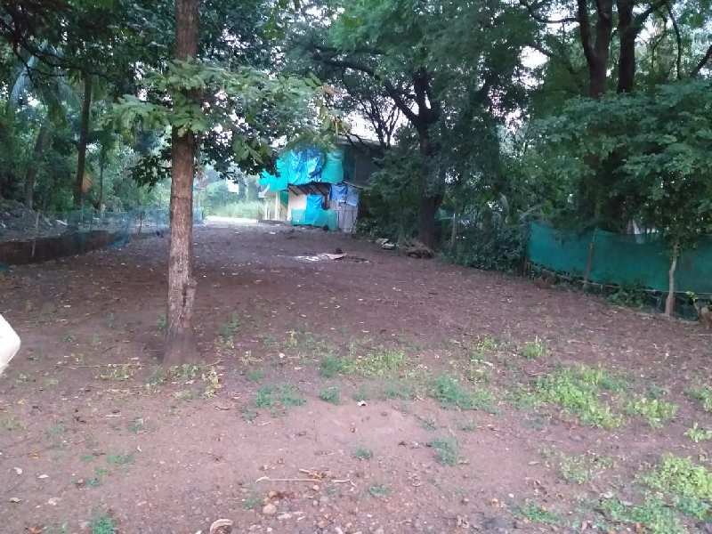 Agricultural Land 23000 Sq.ft. for Sale in Alibag, Raigad