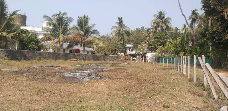 Agricultural Land 6350 Sq.ft. for Sale in Alibag, Raigad