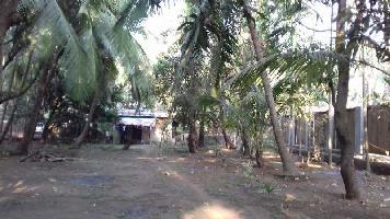  Industrial Land for Sale in Alibag, Raigad