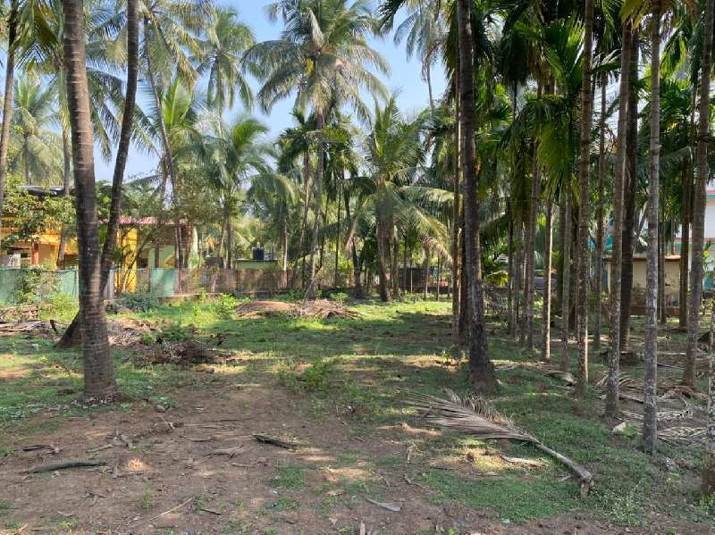 10000 Sq.ft. Agricultural Land for Sale in Nagaon, Alibag, Raigad ...