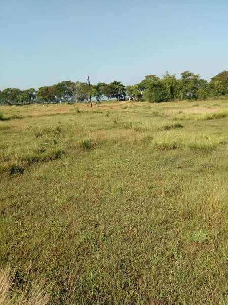  Residential Plot 1 Acre for Sale in Somanathpur, Baleswar