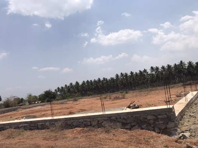 Agricultural Land 2 Acre for Sale in Pichanur, Coimbatore