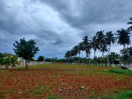  Industrial Land for Rent in Vadavalli, Coimbatore