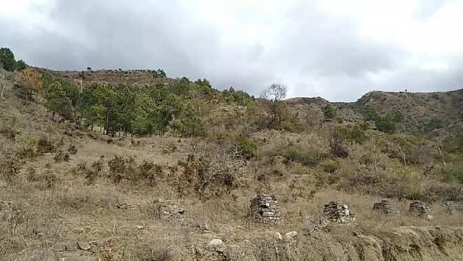  Agricultural Land 2 Bigha for Sale in Mashobra, Shimla