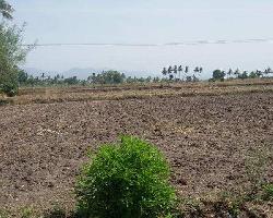  Agricultural Land for Sale in Mussoorie, Dehradun