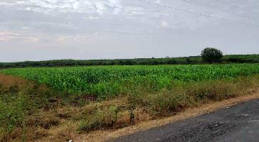  Agricultural Land for Sale in Santhanuthalapadu, Prakasam