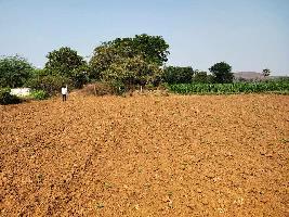  Agricultural Land for Sale in Tagarapuvalasa, Visakhapatnam